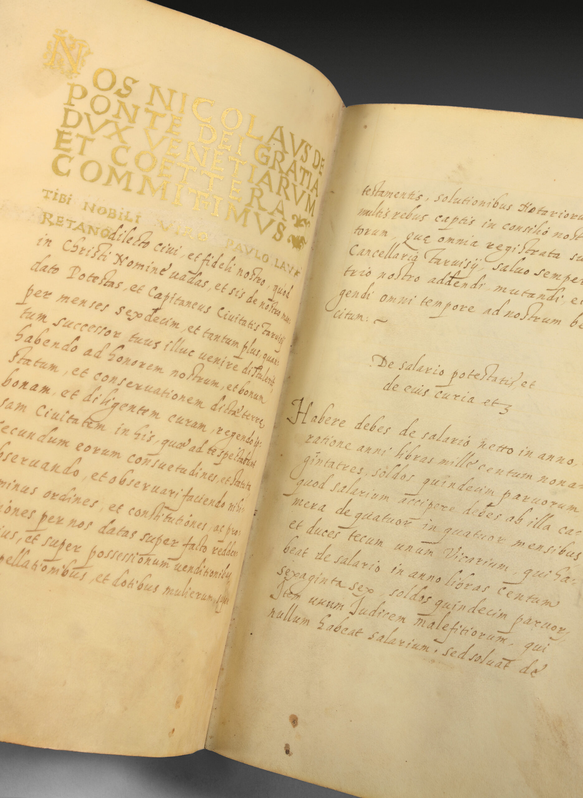 Commission dogale – Image 2