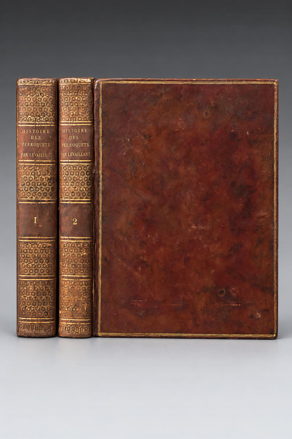 Histoire naturelle des perroquets. - Image 2